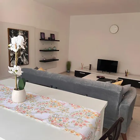 Apartment - Septimiu Albini -